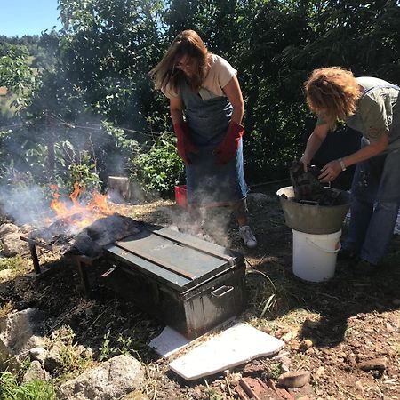 Chambres Et Tables D'Hotes - Les Ateliers De Pontajou - Pelerin Navette Gratuite A Saugues Venteuges Eksteriør bilde